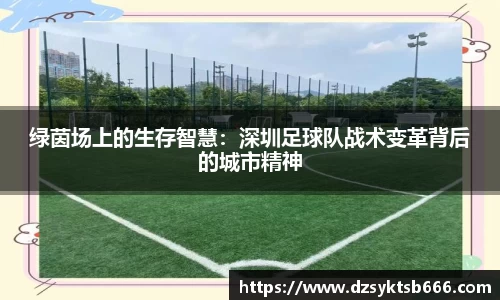 绿茵场上的生存智慧：深圳足球队战术变革背后的城市精神